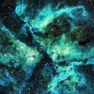 Meet your Posher, Eva